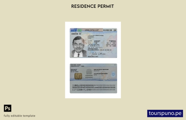 Plantilla de tarjeta de permiso de residencia en Bélgica lista para imprimir